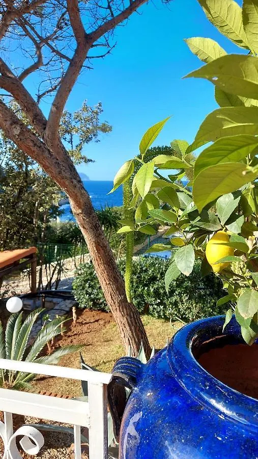 Vfh Villa Flavia Eco B&B - 50 Metri Dal Mare Santa Flavia 5*,